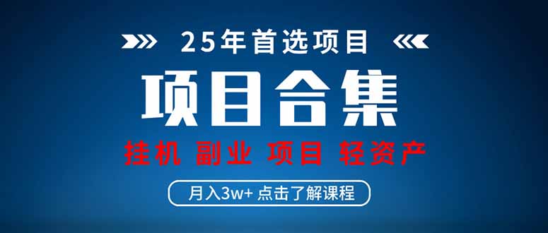 （14175期）2025 实操项目合集 挂机类型 直播类型 轻资产创业类型 课程分享各项目…