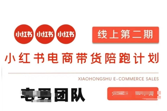 mp18991期-小红书电商带货课2期，月利润20个的小红书电商的有货源，无货源，虚拟产品，付费投流等整套玩法