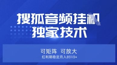 mp18995期-【搜狐音频挂G】独家技术，可矩阵可放大，红利期稳定月入8k