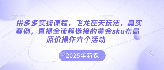 mp19062期-拼多多实操课程，飞龙在天玩法，真实案例，直播全流程链接的黄金sku布局原价操作六个活动