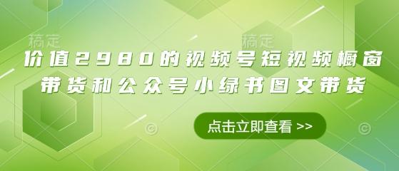 mp19256期-价值2980的视频号短视频橱窗带货和公众号小绿书图文带货