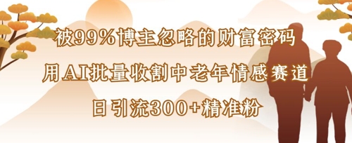 mp19257期-被99%博主忽略的财富密码：用AI批量收割中老年情感赛道，日引流300+精准粉