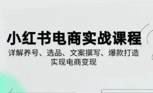mp19291期-小红书从0-1实操课(2023-2025)，详解养号、选品、文案撰写、爆款打造实现电商变现