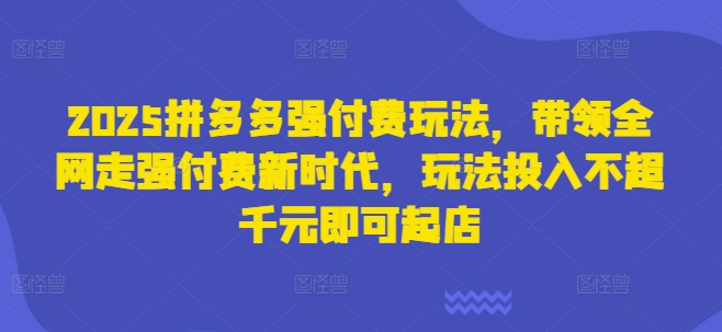 mp19360期-2025拼多多强付费玩法，带领全网走强付费新时代，玩法投入不超千元即可起店
