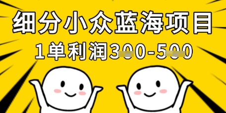 mp19538期-细分小众蓝海项目，一单利润3张，每月收入稳定过1w+