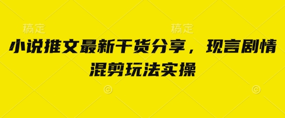 mp19604期-小说推文最新干货分享，现言剧情混剪玩法实操