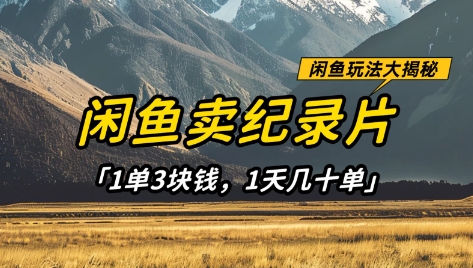 mp19641期-闲鱼卖纪录片1单3块钱，1天几十单，项目稳定有潜力
