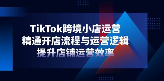 fy12753期-TikTok跨境小店运营，精通开店流程与运营逻辑，提升店铺运营效率
