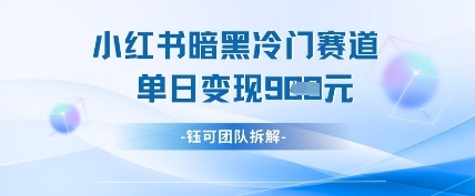 mp20408期-小红书冷门”暗黑”赛道，单日收益多张