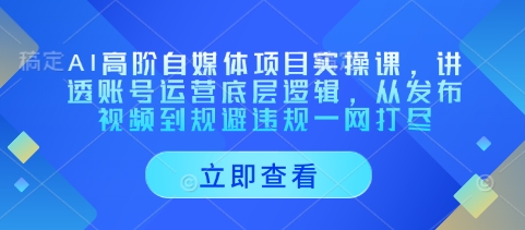 mp20413期-AI高阶自媒体项目实操课，讲透账号运营底层逻辑，从发布视频到规避违规一网打尽