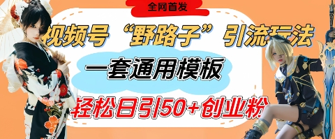 mp20602期-视频号“野路子”玩法，评论区疯狂截流，一套模板单日单号引流50+创业粉