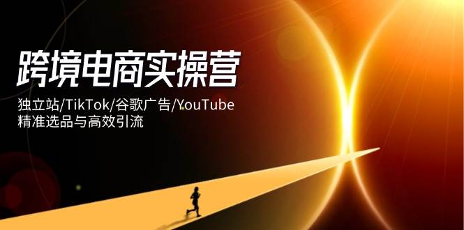 fy12890期-跨境电商实操营：独立站/TikTok/谷歌广告/YouTube，精准选品与高效引流