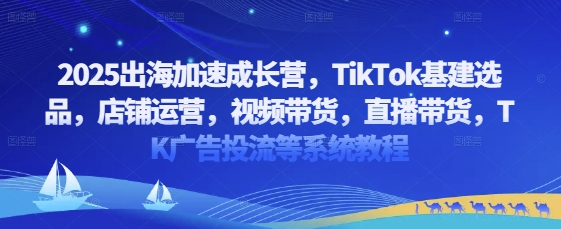 mp21284期-2025出海加速成长营，TikTok基建选品，店铺运营，视频带货，直播带货，TK广告投流等系统教程
