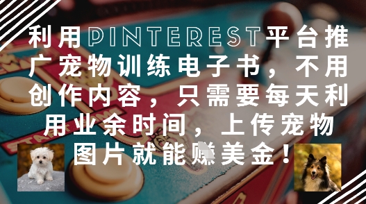 mp21698期-利用Pinterest平台推广宠物训练电子书，不用创作内容，只需要每天利用业余时间，上传宠物图片就能挣美金!
