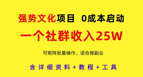 mp21798期-强势文化项目，一个社群收入25个W，0成本启动，可矩阵批量操作，原创详细实操教程