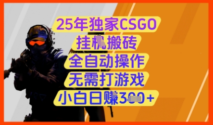 mp21804期-25年独家CSGO挂G搬砖，全自动操作，无需打游戏，小白日入3张+