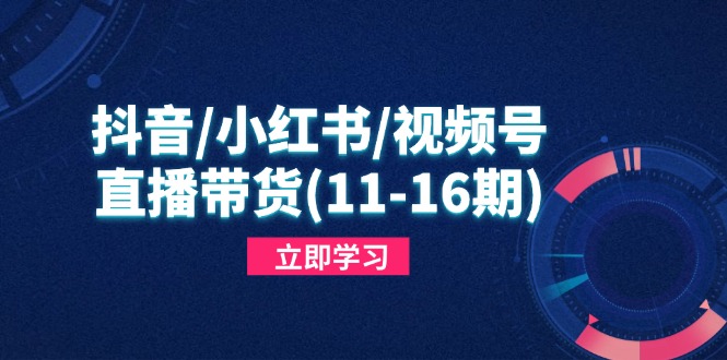 （14611期）抖音/小红书/视频号/直播带货（11-16期），快速掌握平台规则，打造爆款内容