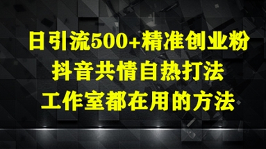 mp22022期-日引流500+精准创业粉，抖音共情自热打法，工作室都在用的方法