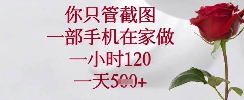 mp22030期-你只管截图，一部手机在家可以做，一小时120.一天5张+