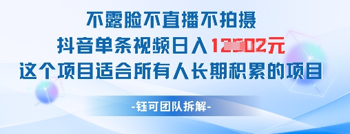mp22877期-不露脸不直播不拍摄抖音单条视频日入1k+这个项目适合所有人长期积累的项目