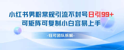 小红书男粉常规引流不封号日引99+变现简单可矩阵可复制小白容易上手-AIGC资源中心