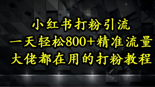 小红书打粉引流一天轻松500+精准流量大佬都在用的打粉教程-AIGC资源中心