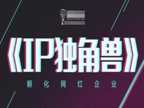 IP独角兽孵化网红企业ip教程-AIGC资源中心
