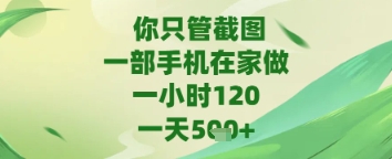 你只管截图一部手机在家做苹果安卓都可以一天5张+-AIGC资源中心