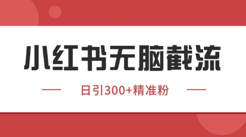 mp23568期-小红书只要你有同行就能获客，独家野路子获客玩法，暴力截流