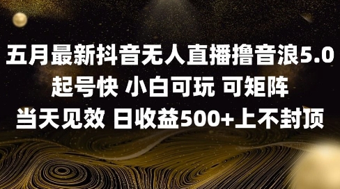 2025五月最新无人直播撸音浪单日产出5张+实操教程-AIGC资源中心