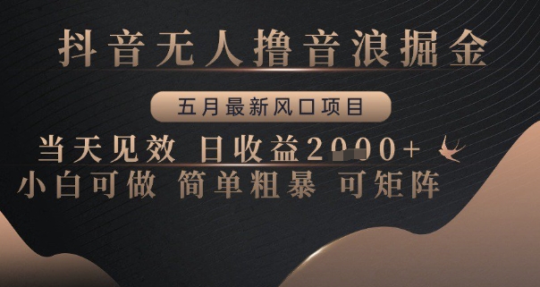 mp23753期-抖音无人撸音浪掘金，五月最新风口项目，当天见效，日收益多张，小白可做简单粗暴可矩阵