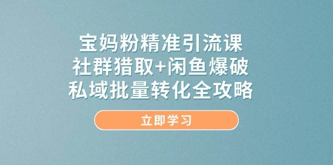 fy13855期-宝妈粉精准引流课，社群猎取+闲鱼爆破，私域批量转化全攻略