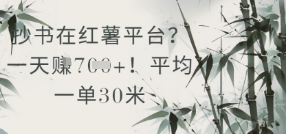 mp23865期-抄书在小红薯平台？平均一单30米，一天收益几张！
