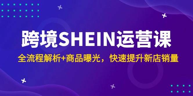 fy13887期-跨境SHEIN运营课，全流程解析+商品曝光，快速提升新店销量