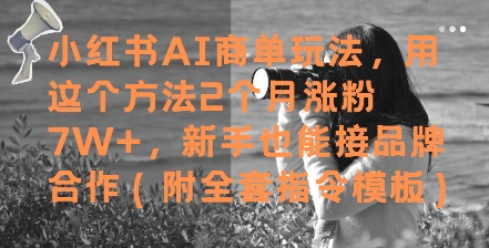 mp24061期-小红书AI商单玩法，用这个方法2个月涨粉7W+，新手也能接品牌合作(附全套指令模板)