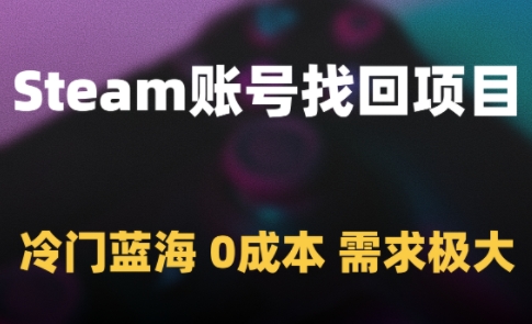 mp24066期-Steam账号找回项目，冷门蓝海，0成本，需求极大