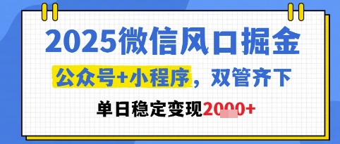 mp24377期-2025微信风口掘金，公众号+小程序双管齐下，单日稳定变现1k+