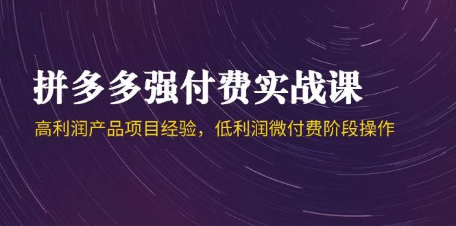 fy14068期-拼多多强付费实战课-44期，高利润产品项目经验，低利润微付费阶段操作