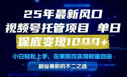 mp24993期-25年最新风口，视频号托管项目，单日保底变现1k+，手把手教学