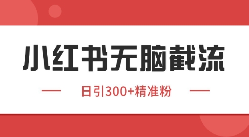 mp25385期-小红书截流同行客源，独家野路子获客玩法 日引200+暴力获客