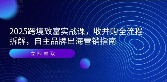 fy14387期-2025跨境致富实战课，收并购全流程拆解，自主品牌出海营销指南