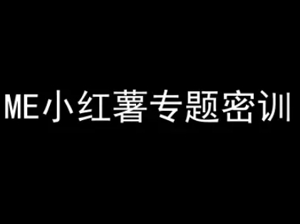 mp26195期-ME小红薯专题密训-小红书电商教程