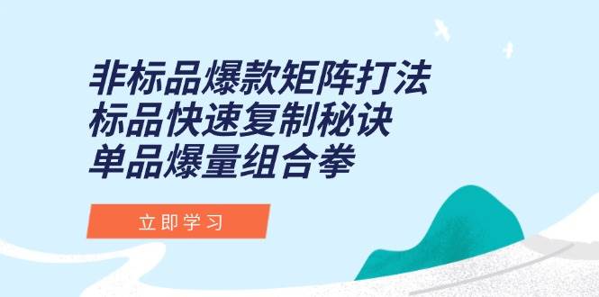 fy14642期-非标品爆款矩阵打法，标品快速复制秘诀，单品爆量组合拳