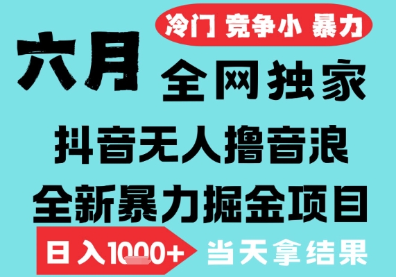 mp26646期-2025年6月高爆抖音无人直播最新撸音浪掘金项目，无脑日入1k+，低门槛小白可做，可矩阵放大