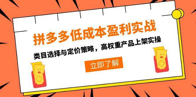 fy14856期-拼多多低成本盈利实战，类目选择与定价策略，高权重产品上架实操