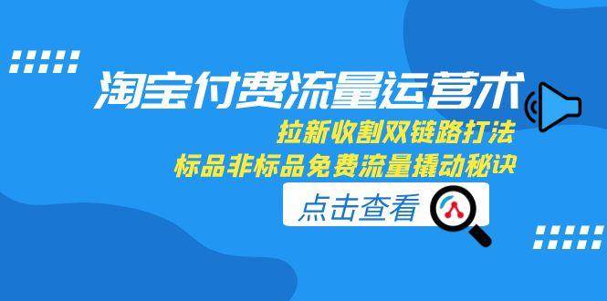 fy14858期-淘宝付费流量运营术，拉新收割双链路打法，标品非标品免费流量撬动秘诀
