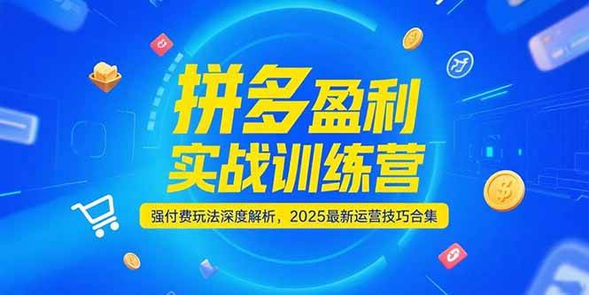 fy14941期-拼多多盈利实战训练营，强付费玩法深度解析，2025最新运营技巧合集