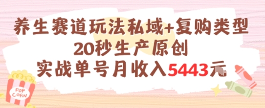 mp28006期-养生赛道玩法私域+复购类型，20秒生产原创实战单号月收入5k+