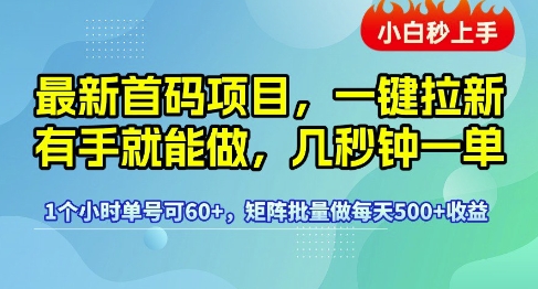 mp28115期-最新首码项目，一键拉新有手就能做，几秒钟一单，1个小时单号可60+，矩阵批量做每天5张
