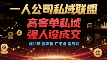 mp28686期-一人公司私域联盟，高客单私域，强人设成交，建私域 搞发售 广结盟 造势能